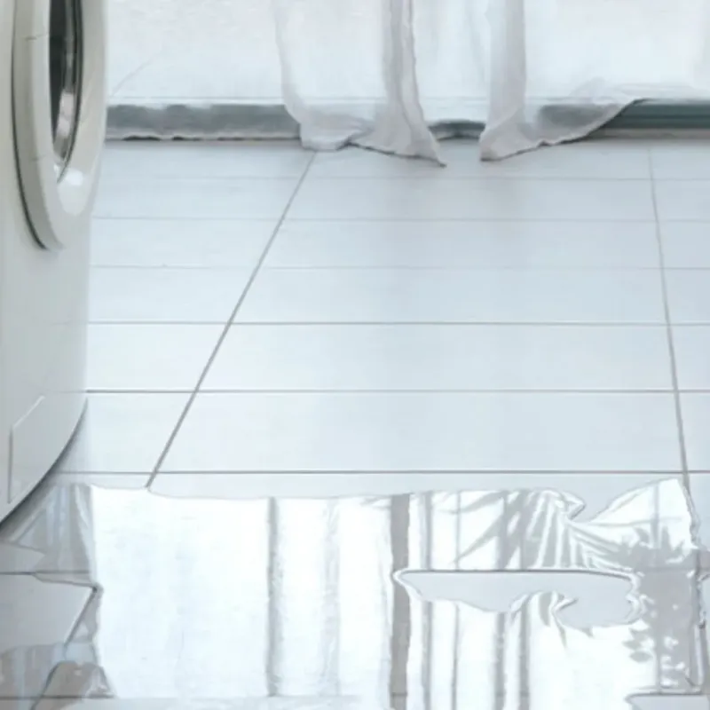 Appliance Leak Cleanup in Benton City, WA