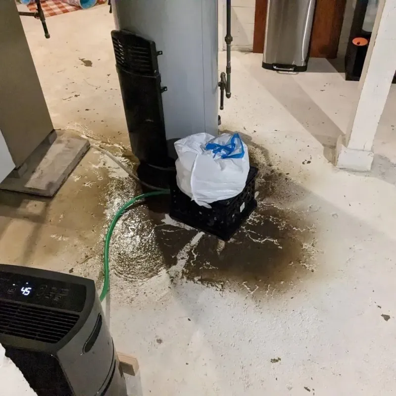 Sewage Backup Cleanup Service in Benton City, WA